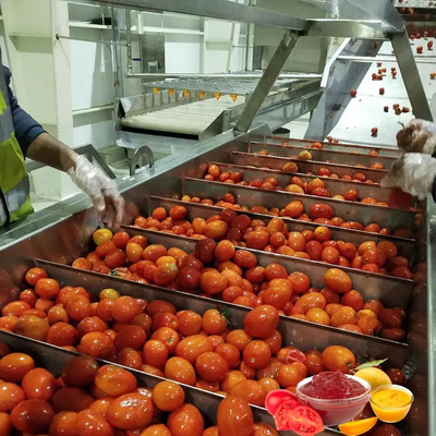 ソースペーストトマトケチャップ生産ラインコマーシャル
