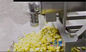 SUS304フルーツ野菜のためのろ過の残余ジュースの抽出器機械