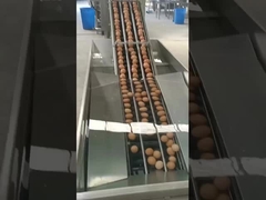 垂直型の卵砕機