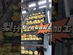 ペアジュースの事前処理を行う方法