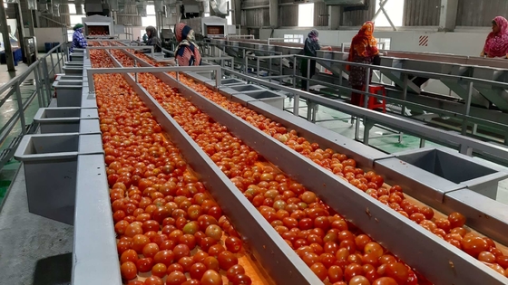 ケチャップ トマト ペーストの生産ライン高効率 1000kg/H