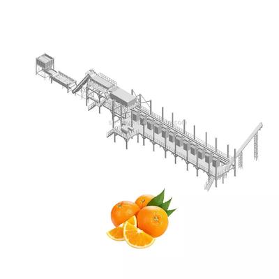 自動産業オレンジ柑橘類ジュースの生産ライン