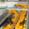 自動産業オレンジ柑橘類ジュースの生産ライン